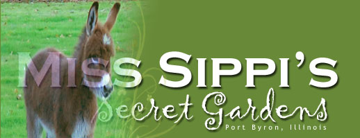 Miss Sippi's Secret Gardens