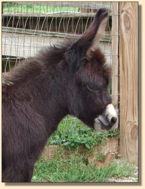 Black 'n' Blue, aka Bruise Sept 6th, 2008 